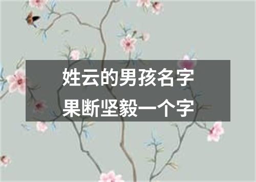 姓云的男孩名字果断坚毅一个字