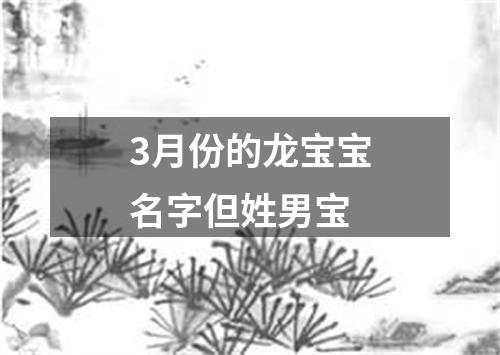 3月份的龙宝宝名字但姓男宝