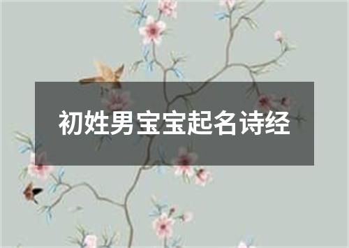 初姓男宝宝起名诗经