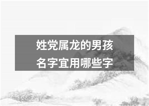 姓党属龙的男孩名字宜用哪些字