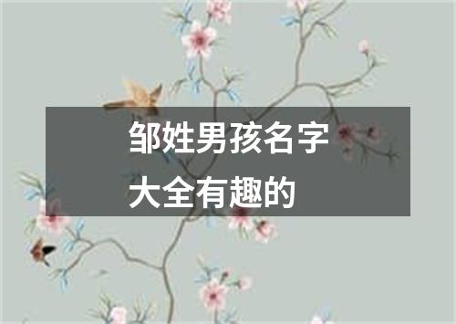 邹姓男孩名字大全有趣的