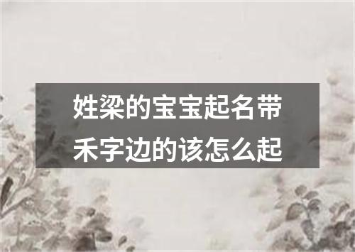 姓梁的宝宝起名带禾字边的该怎么起