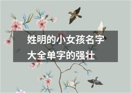 姓明的小女孩名字大全单字的强壮