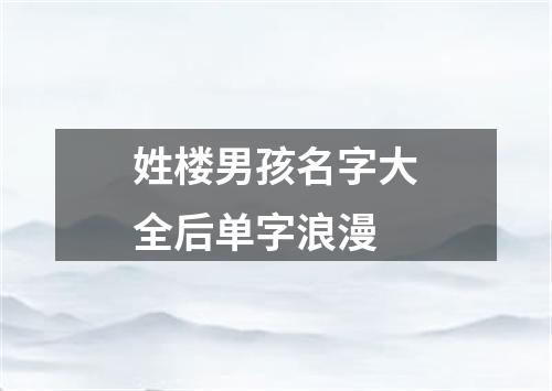 姓楼男孩名字大全后单字浪漫