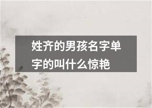 姓齐的男孩名字单字的叫什么惊艳