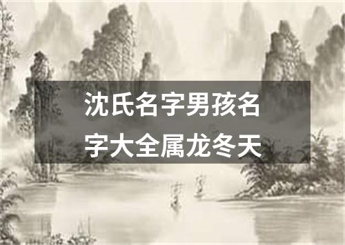 沈氏名字男孩名字大全属龙冬天