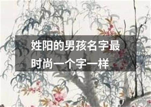 姓阳的男孩名字最时尚一个字一样