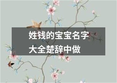 姓钱的宝宝名字大全楚辞中做