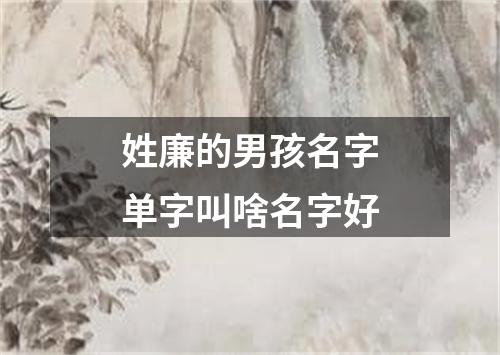 姓廉的男孩名字单字叫啥名字好