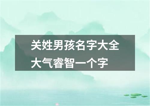 关姓男孩名字大全大气睿智一个字