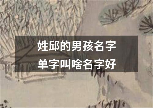 姓邱的男孩名字单字叫啥名字好