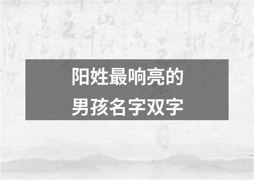 阳姓最响亮的男孩名字双字