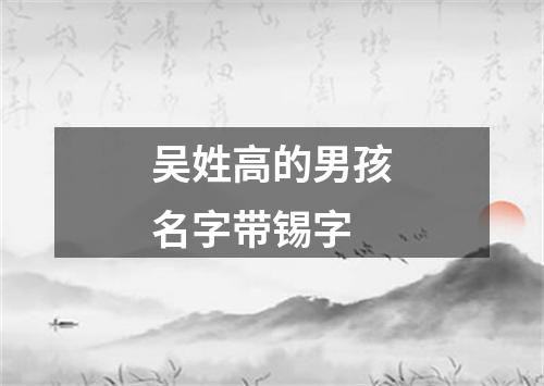 吴姓高的男孩名字带锡字