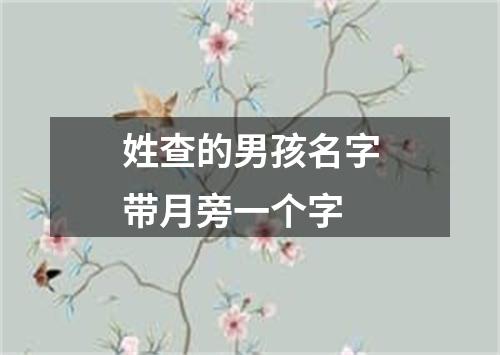 姓查的男孩名字带月旁一个字