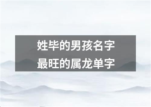 姓毕的男孩名字最旺的属龙单字