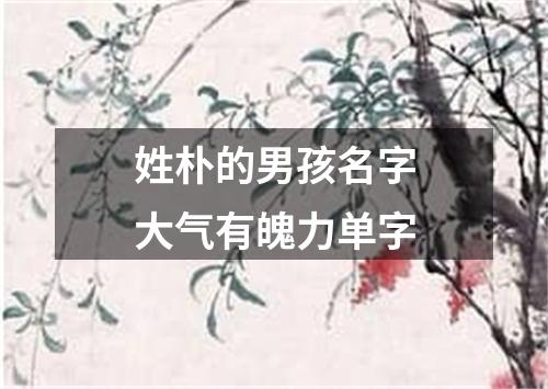 姓朴的男孩名字大气有魄力单字