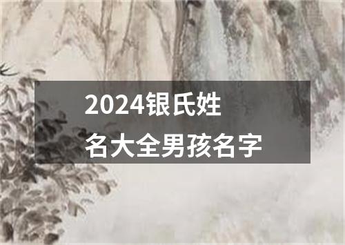 2024银氏姓名大全男孩名字