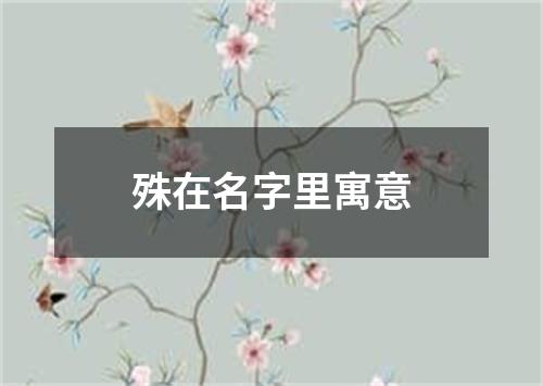 殊在名字里寓意