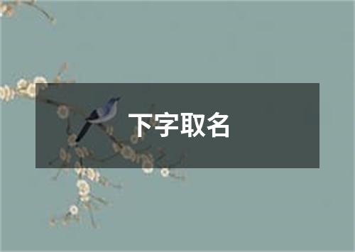 下字取名