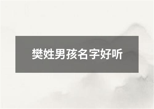 樊姓男孩名字好听