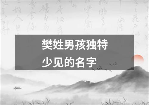 樊姓男孩独特少见的名字