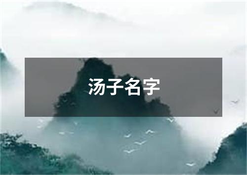 汤子名字