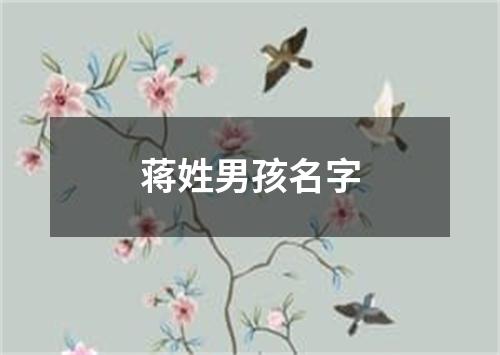 蒋姓男孩名字