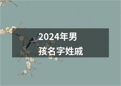 2024年男孩名字姓戚