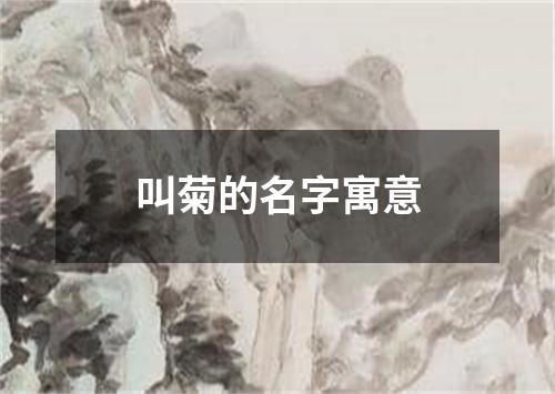 叫菊的名字寓意