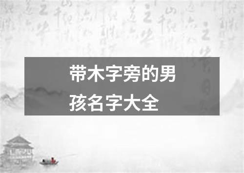 带木字旁的男孩名字大全