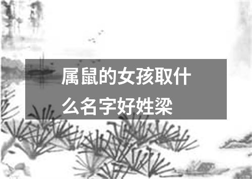 属鼠的女孩取什么名字好姓梁