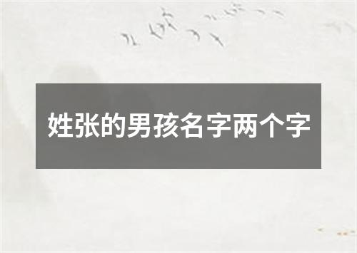 姓张的男孩名字两个字