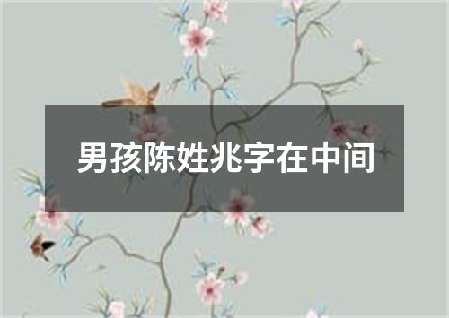 男孩陈姓兆字在中间