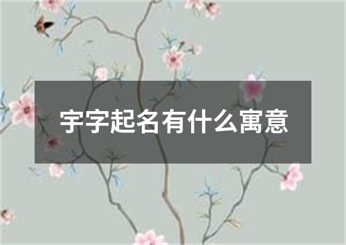 宇字起名有什么寓意