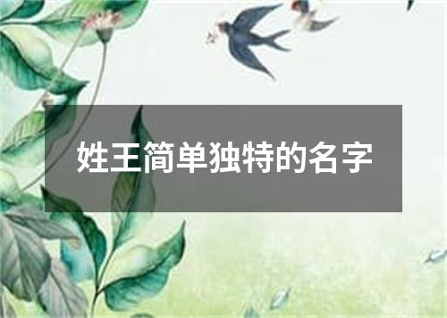 姓王简单独特的名字