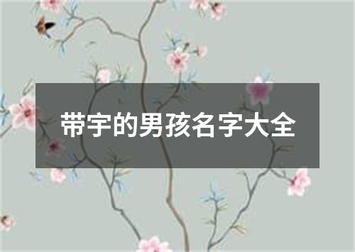 带宇的男孩名字大全