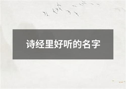 诗经里好听的名字