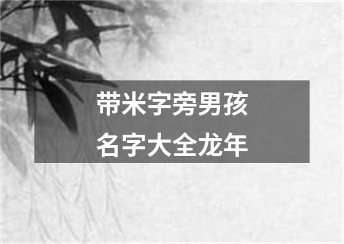 带米字旁男孩名字大全龙年