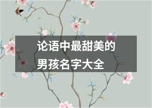 论语中最甜美的男孩名字大全