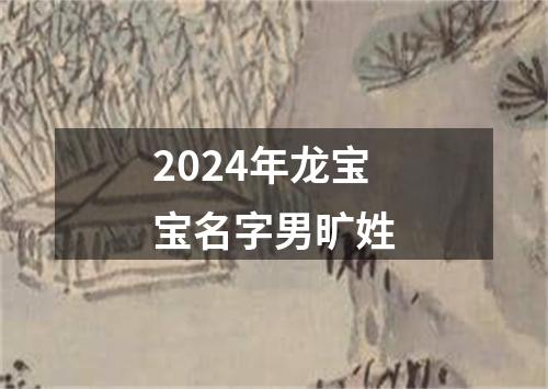 2024年龙宝宝名字男旷姓