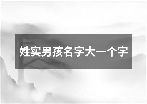 姓实男孩名字大一个字