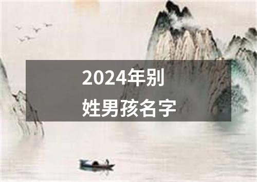 2024年别姓男孩名字