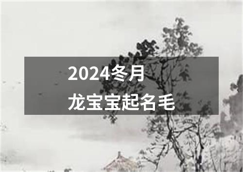 2024冬月龙宝宝起名毛