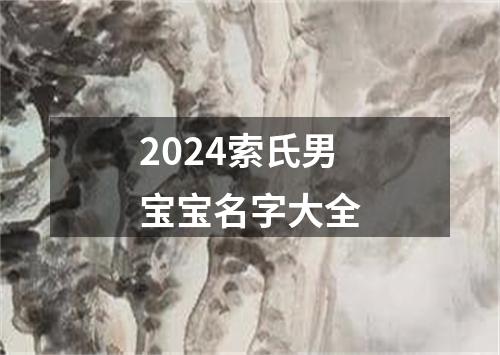 2024索氏男宝宝名字大全