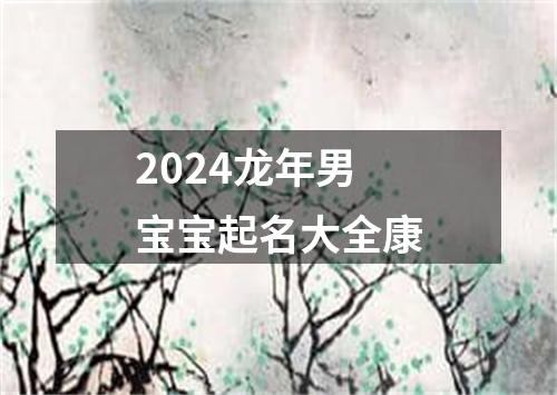 2024龙年男宝宝起名大全康