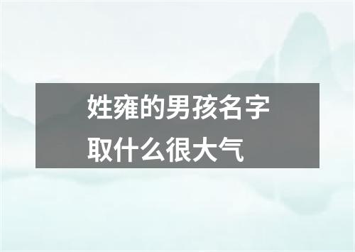 姓雍的男孩名字取什么很大气