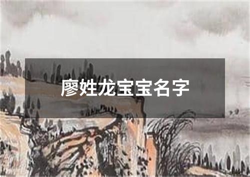 廖姓龙宝宝名字