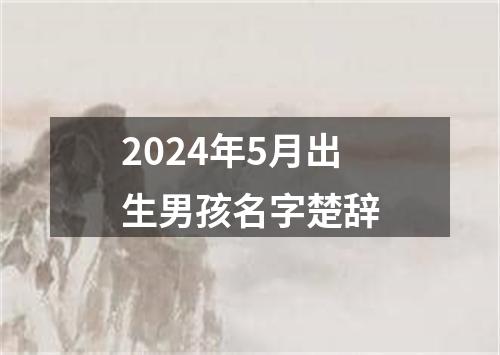 2024年5月出生男孩名字楚辞