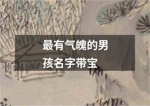 最有气魄的男孩名字带宝