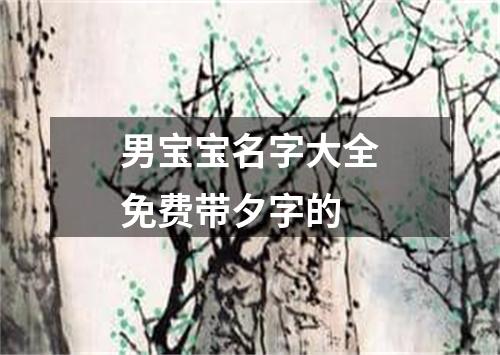 男宝宝名字大全免费带夕字的